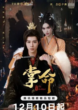 The Architect (2025)